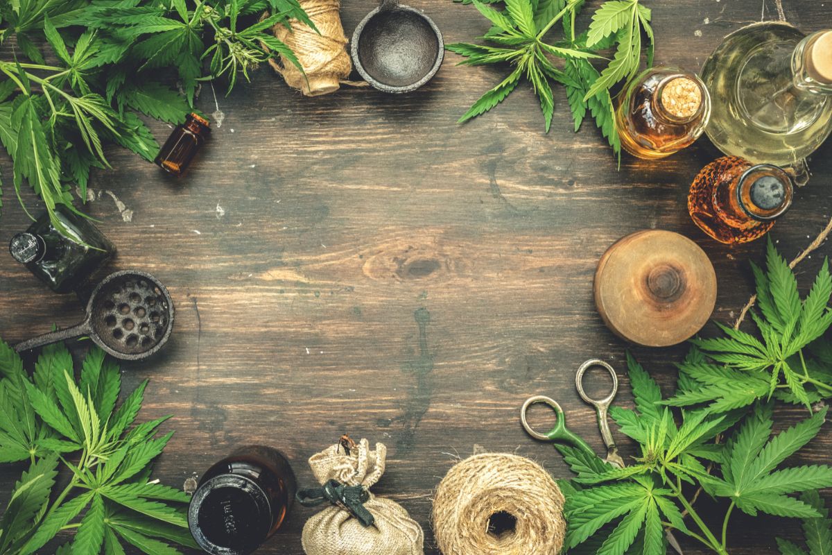 5 Of The Best Cannabis Strains To Become A Talkative Person