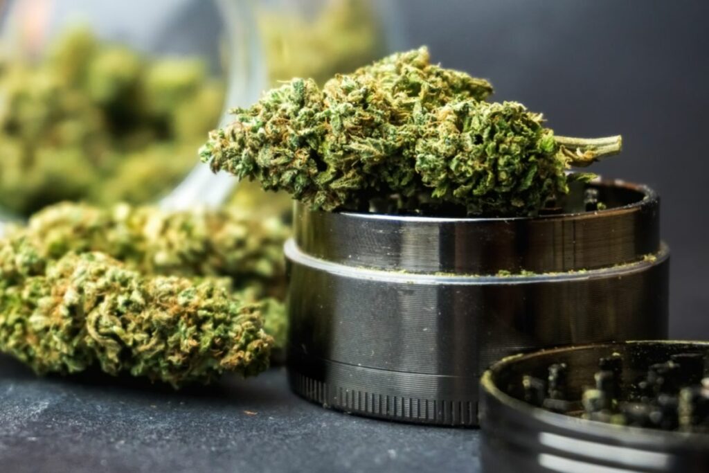 Blueberry Cookies Strain Everything You Need To Know Buy A Vape Pen