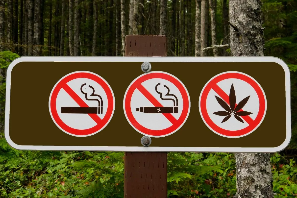 Other Countries Where Vaping Is Banned