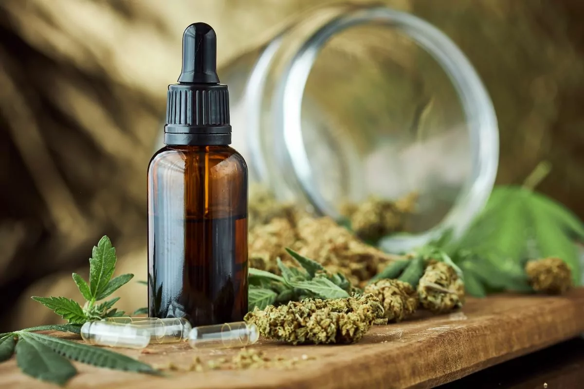 Tribe Tokes Review